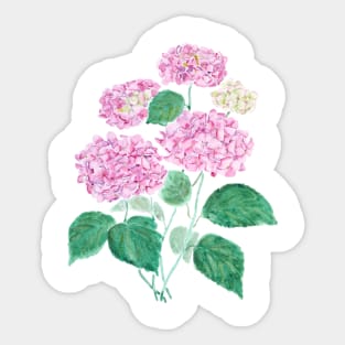 pink hydrangea watercolor Sticker